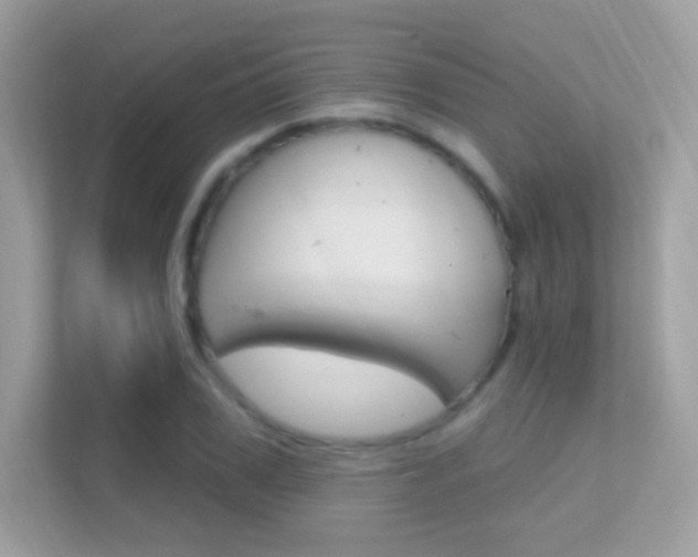 X0000112420979200908141042