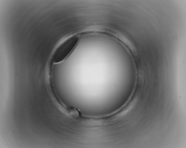 X0000112420981200908141042