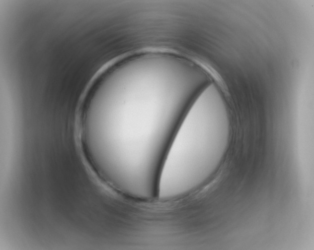 X0000112420984200908141042