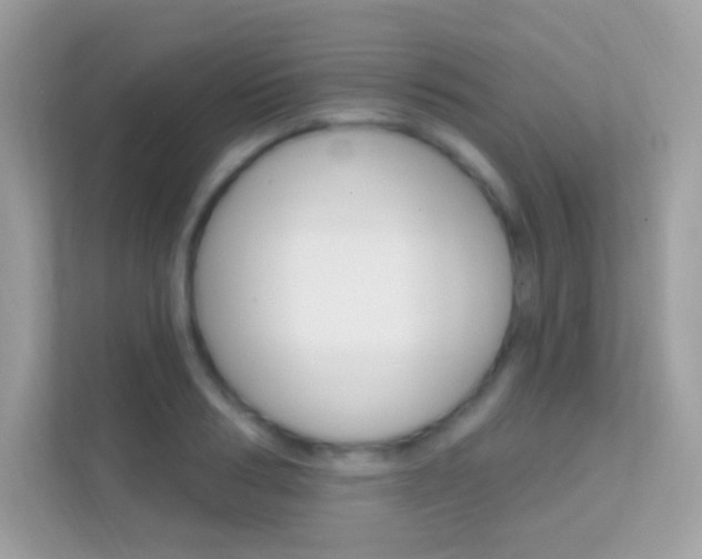 X0000112420986200908141042