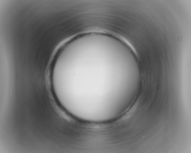 X0000112420987200908141042