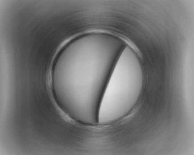 X0000112420988200908141042