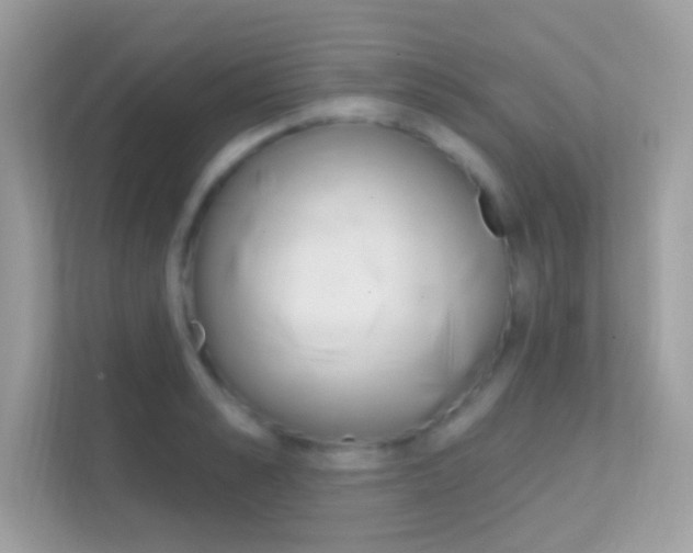 X0000112420989200908141042