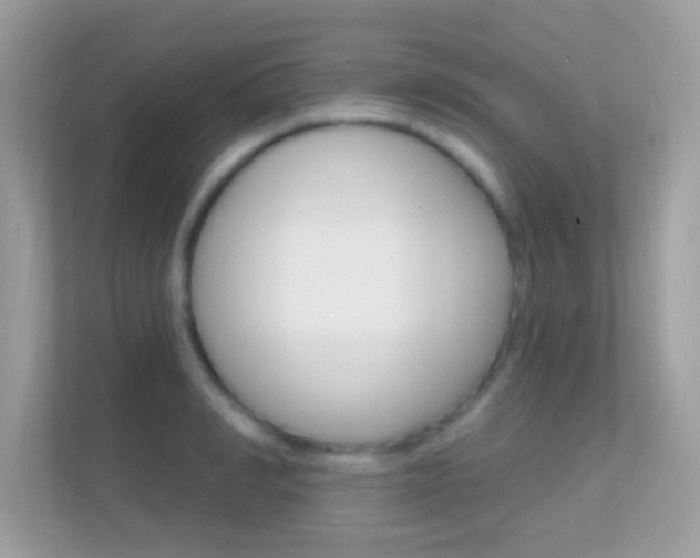 X0000112420990200908141042