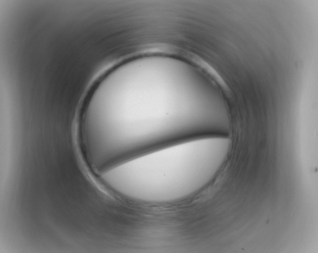 X0000112420991200908141042