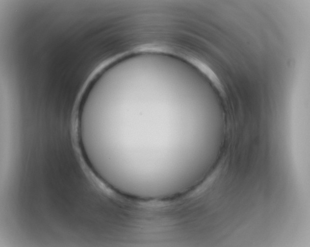X0000112420992200908141042