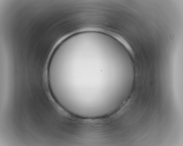 X0000112420996200908141042