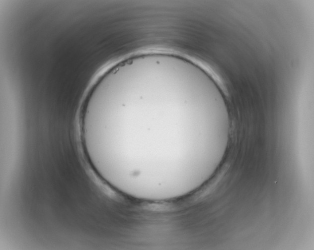 X0000112420998200908141042