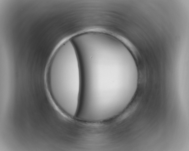 X0000112420999200908141042