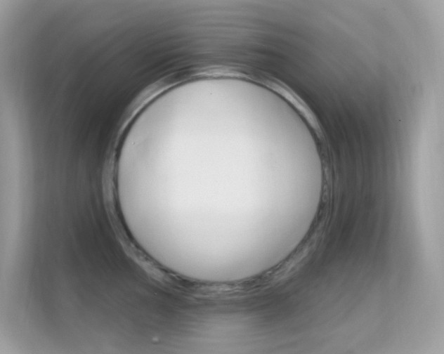 X0000112421002200908141042