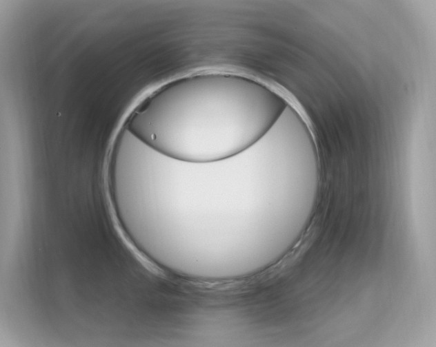X0000112421005200908141042