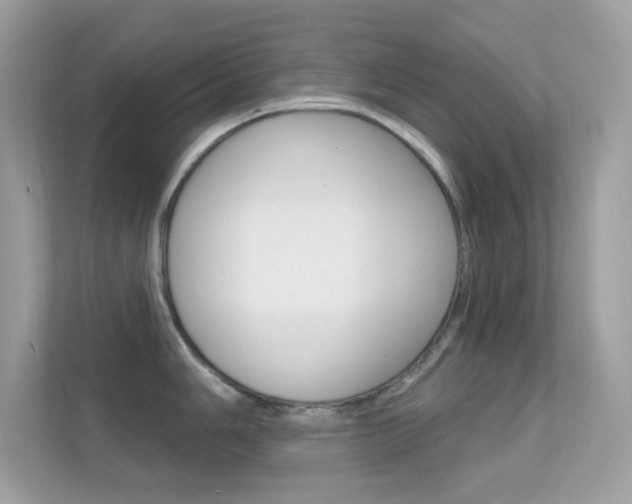 X0000112421006200908141042