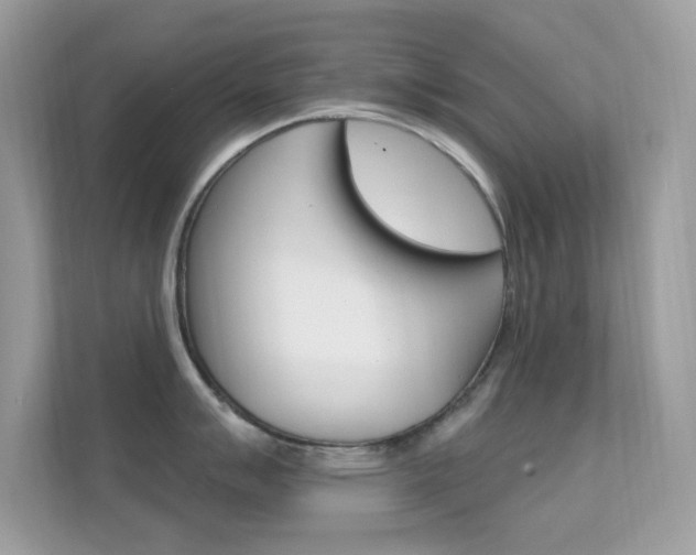 X0000112421007200908141042