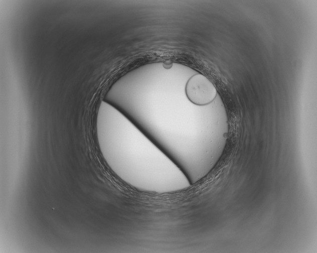 X0000112421009200908141041