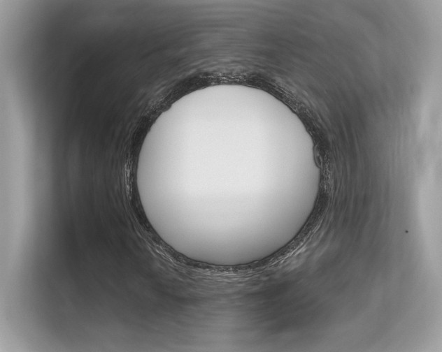 X0000112421010200908141041