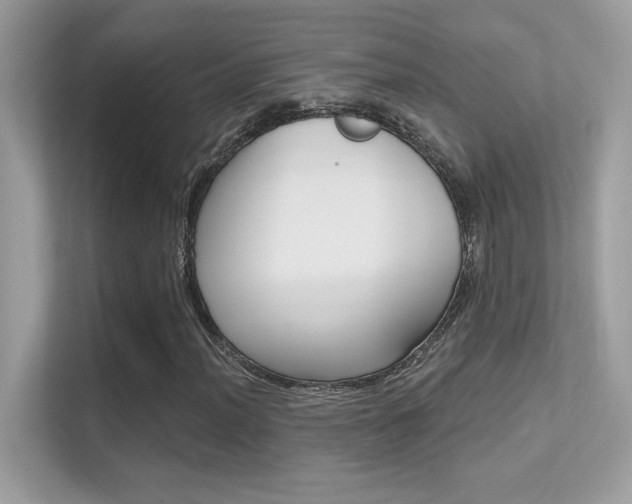X0000112421012200908141041