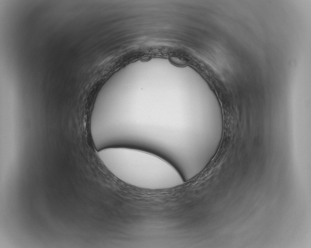 X0000112421013200908141041