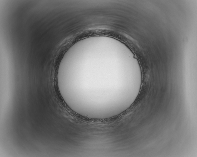 X0000112421014200908141041