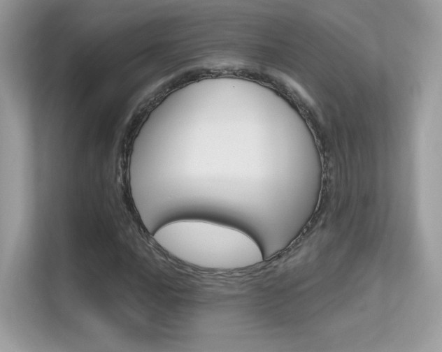 X0000112421016200908141041