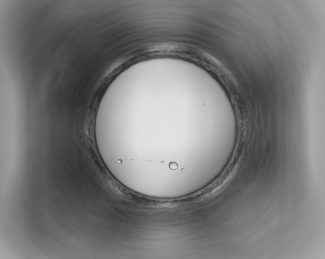 X0000112421017200908141041