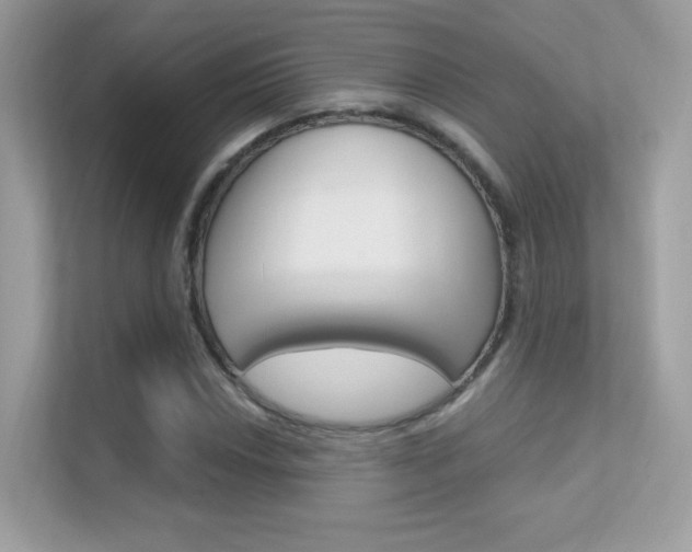 X0000112421018200908141041