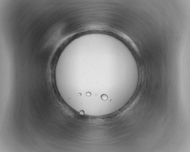 X0000112421019200908141041
