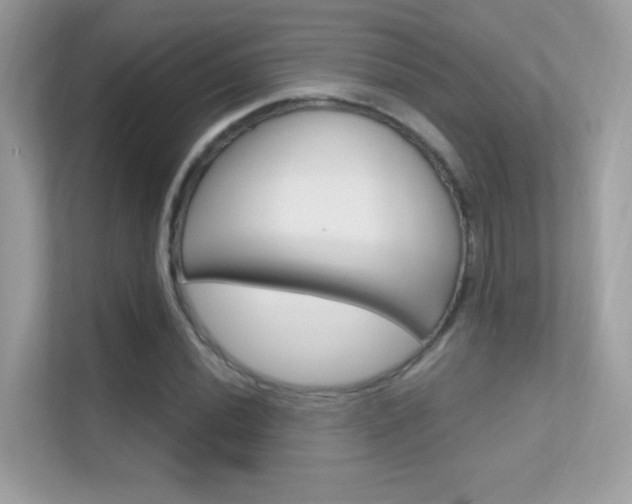 X0000112421020200908141041