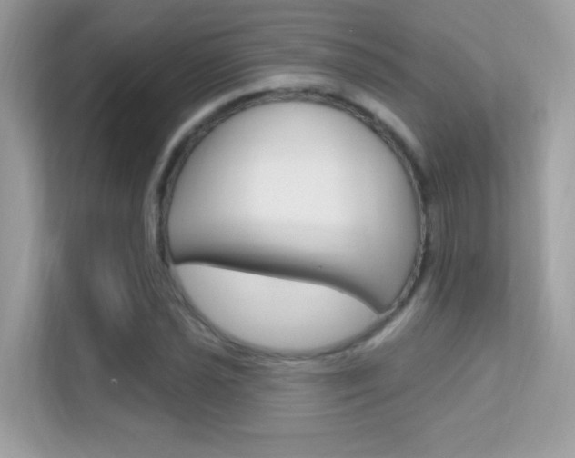 X0000112421021200908141041