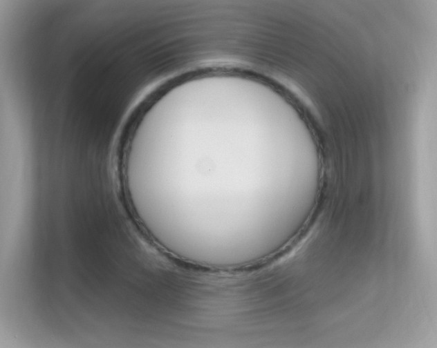 X0000112421022200908141041