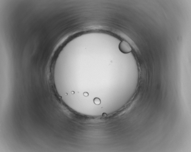 X0000112421023200908141041