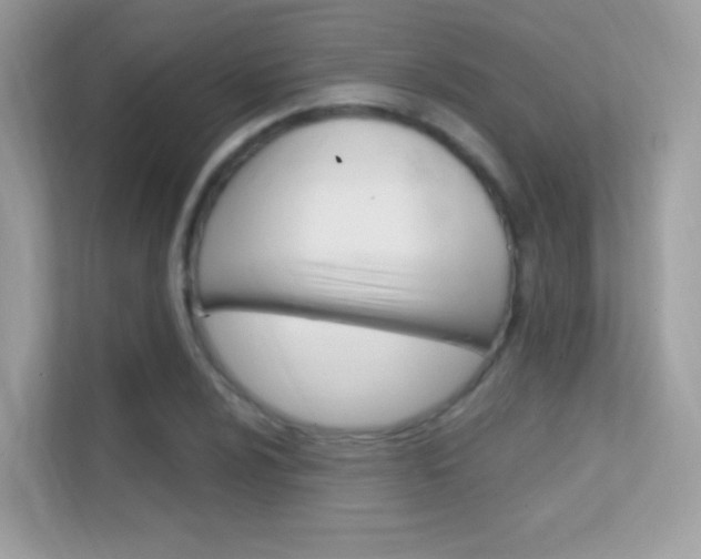 X0000112421024200908141041