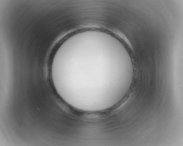 X0000112421027200908141041