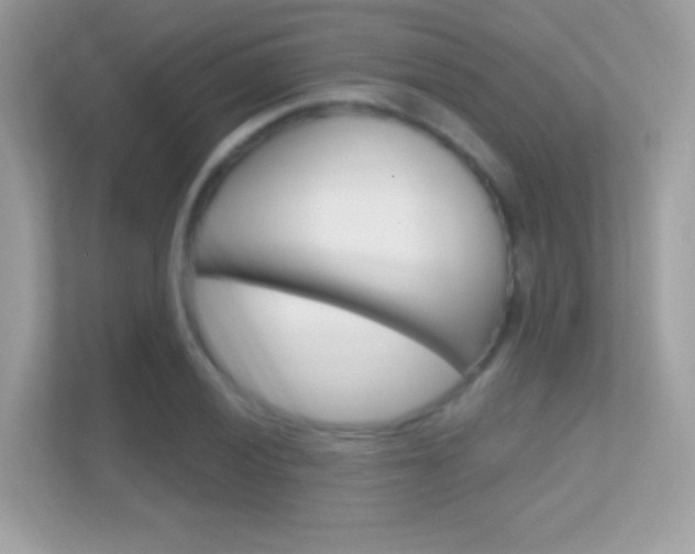 X0000112421028200908141041