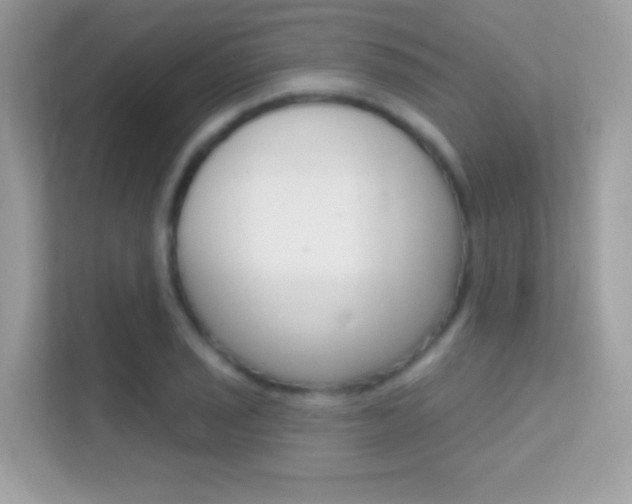 X0000112421029200908141041