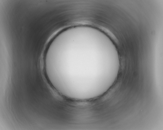 X0000112421031200908141041