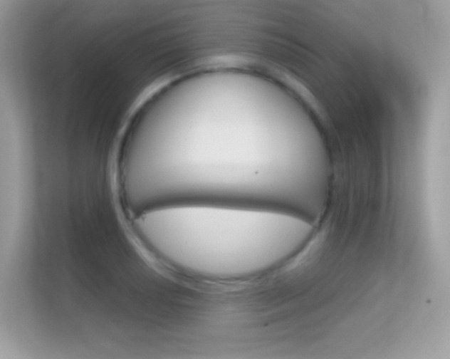 X0000112421034200908141041