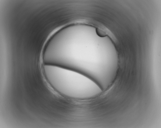X0000112421036200908141041