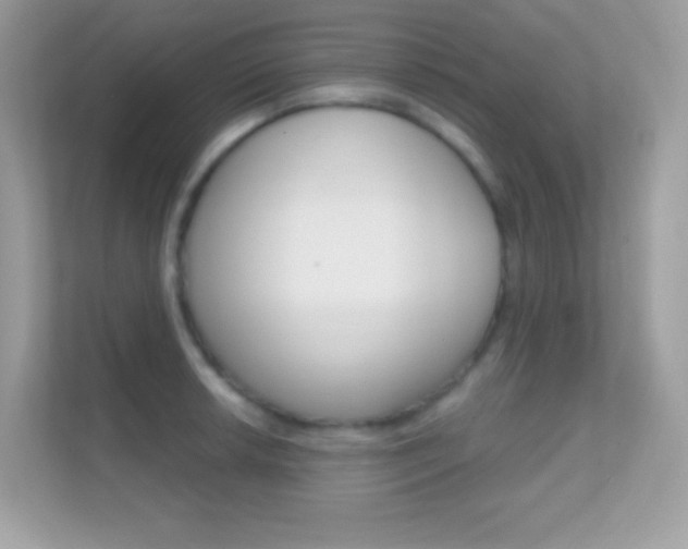 X0000112421042200908141041