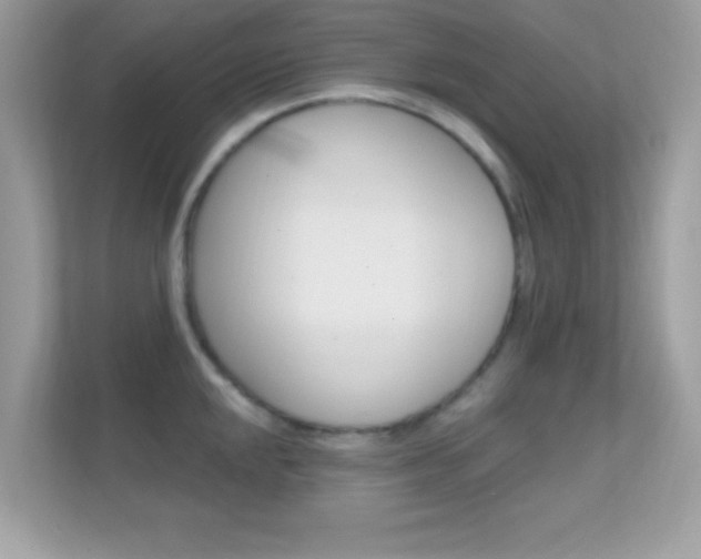 X0000112421048200908141041