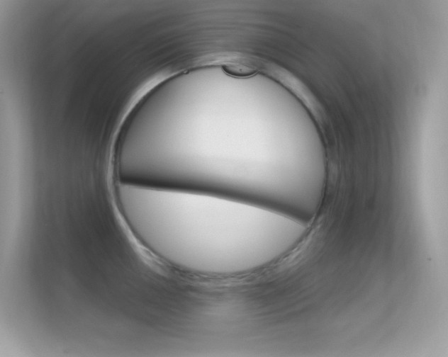 X0000112421050200908141041