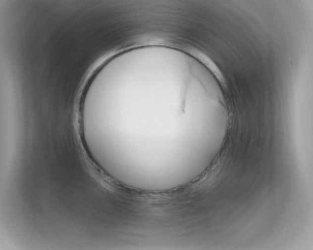 X0000112421051200908141042