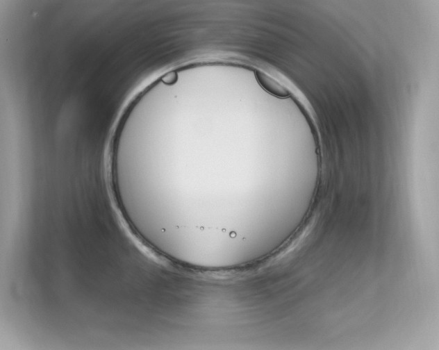 X0000112421053200908141042