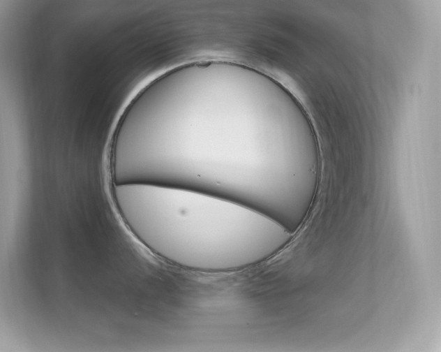 X0000112421056200908141042
