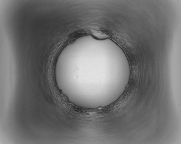 X0000112421057200908141041