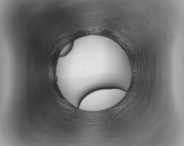 X0000112421058200908141041