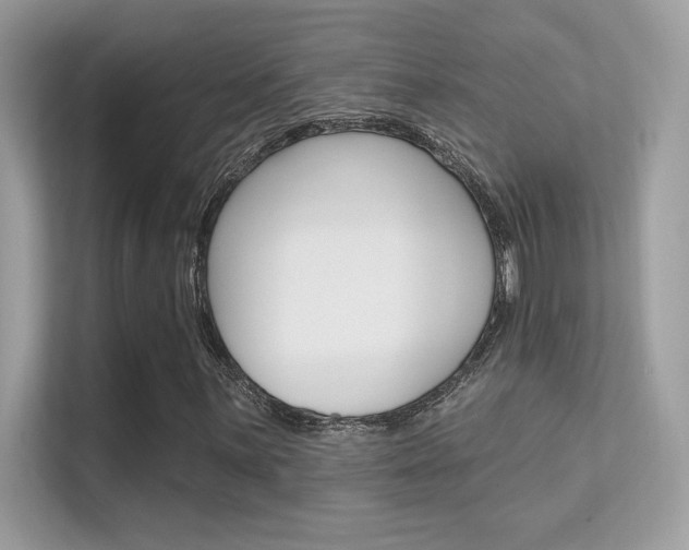 X0000112421059200908141041