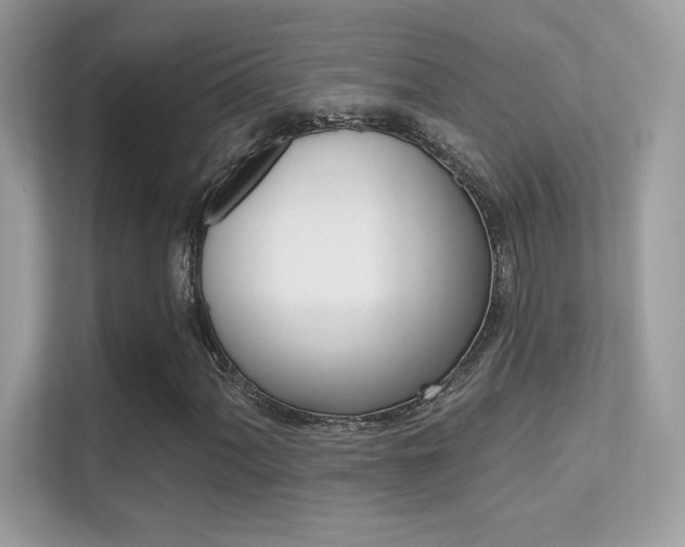 X0000112421060200908141041