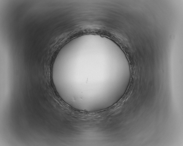 X0000112421061200908141041