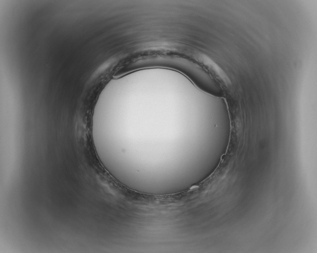 X0000112421064200908141041