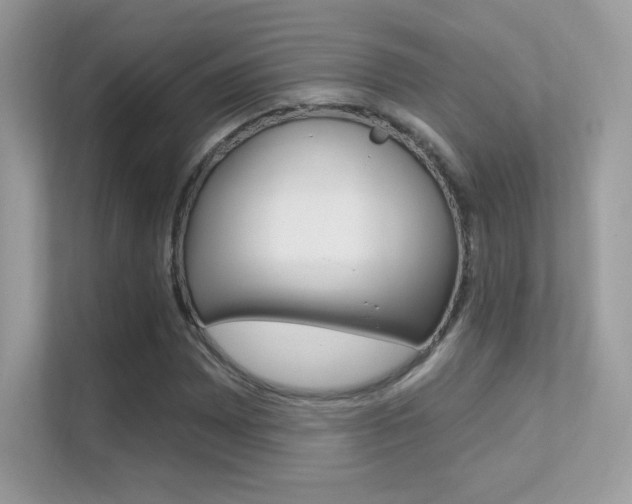 X0000112421065200908141041